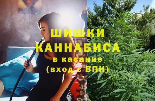твердый Богородск