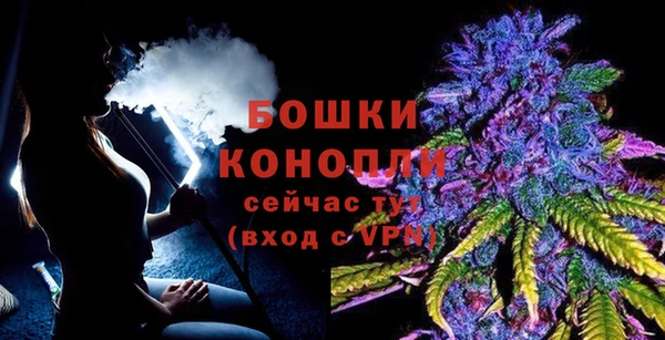 твердый Богородск