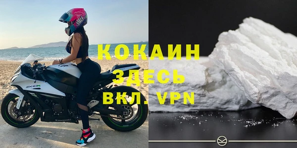 дмт Богородицк