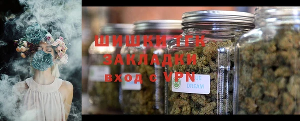 дмт Богородицк