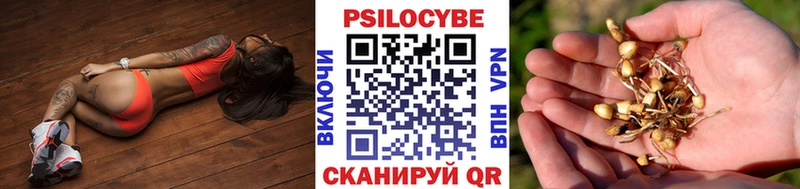 omg ССЫЛКА  Сергач  Галлюциногенные грибы Magic Shrooms 